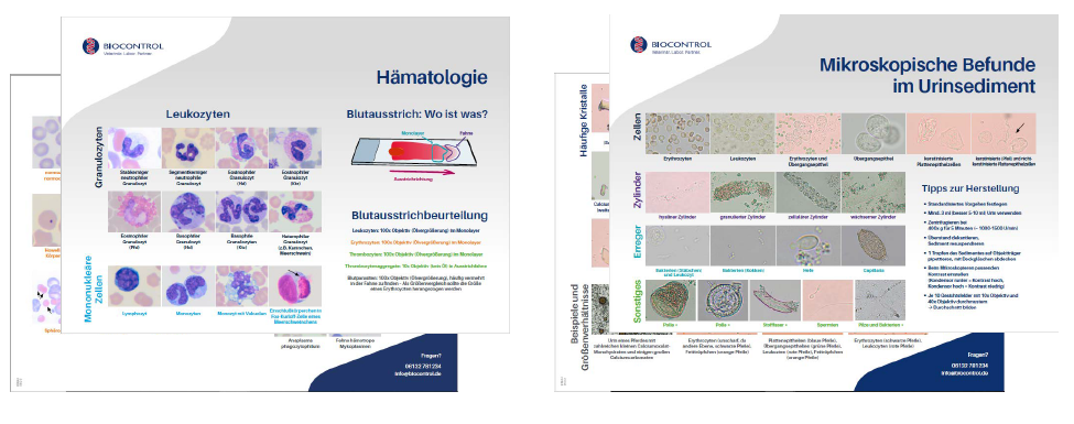 Poster Urinsediment Und Hämatologie