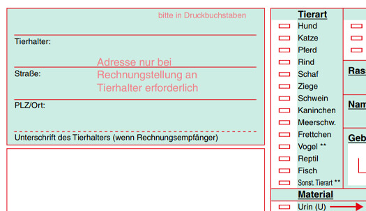 Auftragsformular Sampleimg Gruen